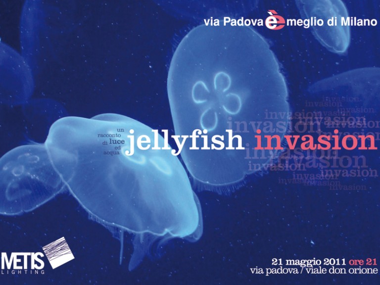 Jelly fish invasion