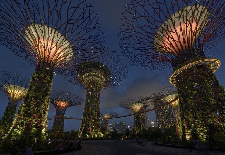 L’illuminazione dei Gardens by the Bay di Singapore